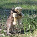 포비PC방 이미지