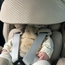 닷옴사진관 이미지