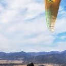 구례옥잠 이미지