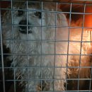 대성동 행정복지센터 이미지