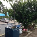 울엄마민박 이미지