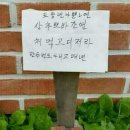 뽀바뽀바 이미지