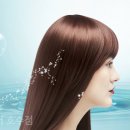 토리헤어호수점 네이버블로그
