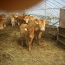 순이농장 이미지