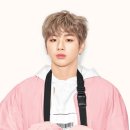 랩몰코리아 이미지