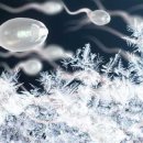 바브네이쳐 이미지