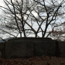 산정마을 농로 이미지