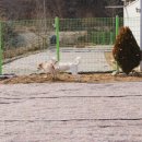 복도리농장 이미지