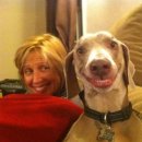 웃는강아지 이미지