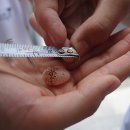 제비초등학교 이미지