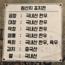 동네맛집으로 입소문난 월성동 소곱창맛집 ‘곱창이야기’ N또간집 후기