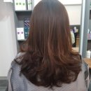 헤어드레서홍