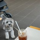 노마드 커피 이미지