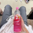 8월 후기-1