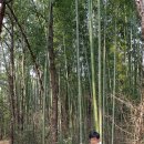 선비뜨락 이미지