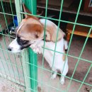 흰둥이 검둥이 꾸미는 날 | 2021년 10월 4일(월) 대체휴일 미미네 깜짝 방문!