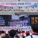 국기태권도 이미지
