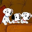 달마시안 이미지