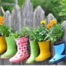 장화농장 이미지