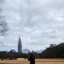 세븐일레븐 신사제일점 | 일본 도쿄 3박 4일 여행 2일차 생생한 후기(메이지 신궁, 시부야 스크럼블 교차로, 시부야 스카이)