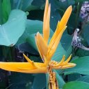 천자로-3 이미지