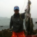 갯바위 민박 이미지