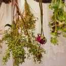 예원경로당 이미지