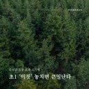다보담신문교육