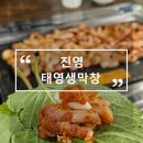 진영 이진캐스빌 정문 맞은편 진영대성교회 앞 횡단보도 | 진영 막창 맛집 태영생막창 쫄깃한 생막창의 정석! 내돈내산후기