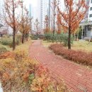 파크이지더원공인중개사사무소 이미지