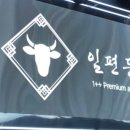 일편등심 이미지