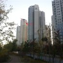 아암대로 1503번길 이미지