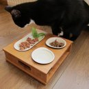 24시 산들산들 동물병원 이미지