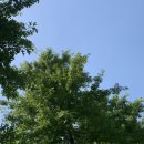 능동소공원 이미지