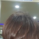 향기나라헤어랜드