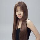 파리 이미지