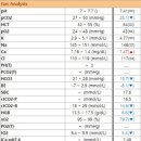 24시 연희동물의료센터 이미지