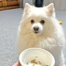 우리집 강아지를 위한 특별식사, 콩이네 방앗간 수제화식