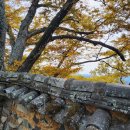 율현마을회관 이미지