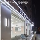 분당밝은아이동물병원 네이버블로그