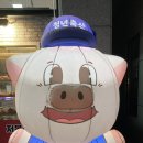 정직한청년축산 이미지