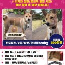 진도하루 이미지