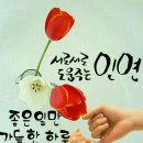 동항중학교 이미지