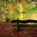 ERNESTO CORTAZAR Remembrance Autumn Song 이미지