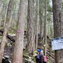 5/25 Sea-to-Sky Gondola Trail Shannon Falls 이미지