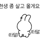 마이클로버