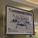 501 | 티웨이 시드니 직항(TW501) 탑승 후기(+ 스카이허브라운지 동편/서편 비교)