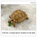 피쉬빌리지수족관 | 어푸어푸 스타필드빌리지 운정점 후기｜16개월 아기랑 파주 실내 데이트 장소로 추천