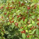 국사봉 입구 이미지