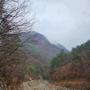 아리랑민박 | 강원도 촌캉스 덕산터 기계곡 정선 숙박가격 정보